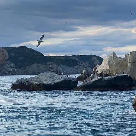 Punta Romana